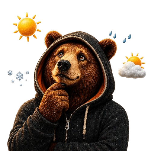 BigBear360 alerts bear