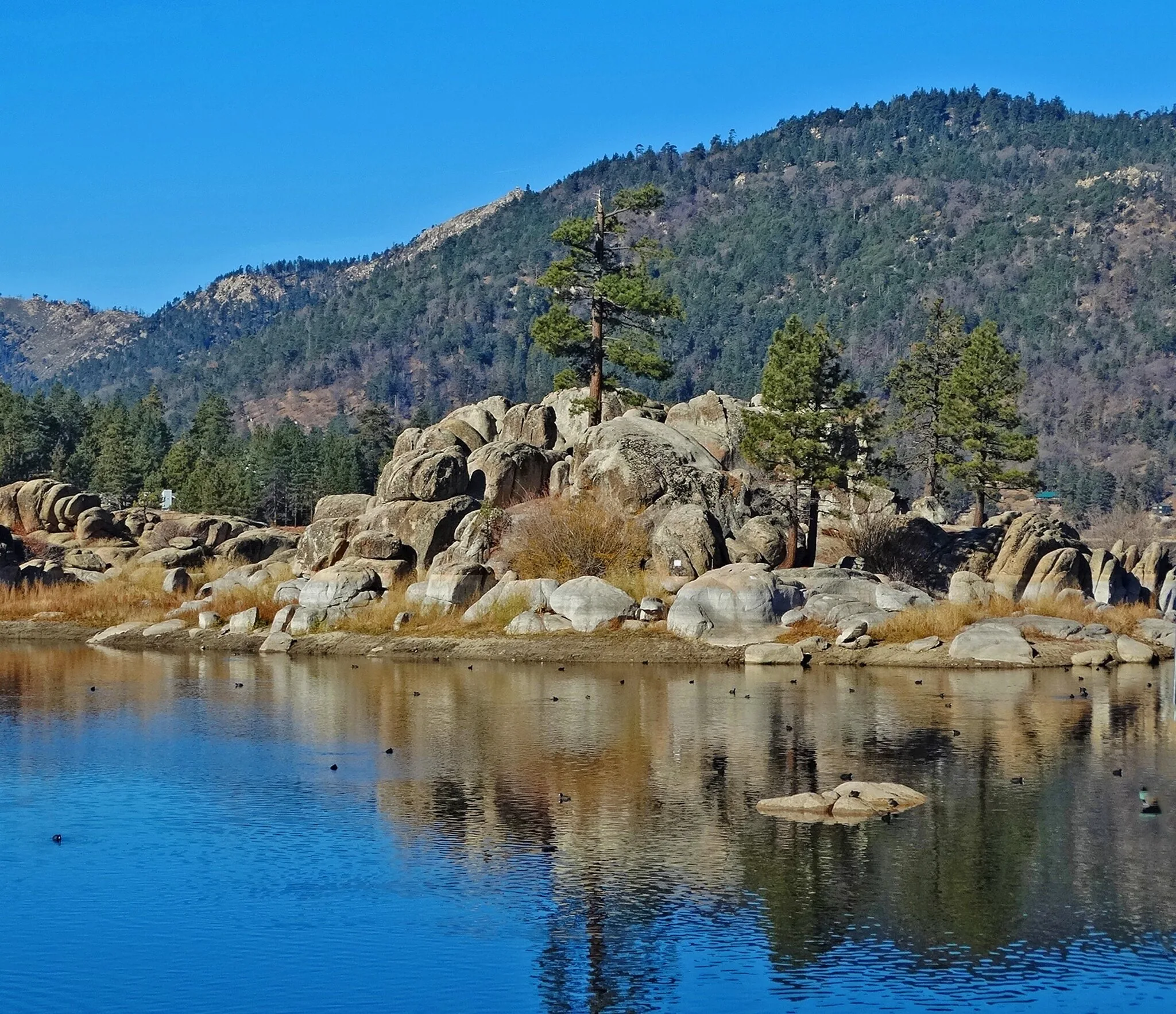 Pizza in Big Bear scenic Big Bear guide image