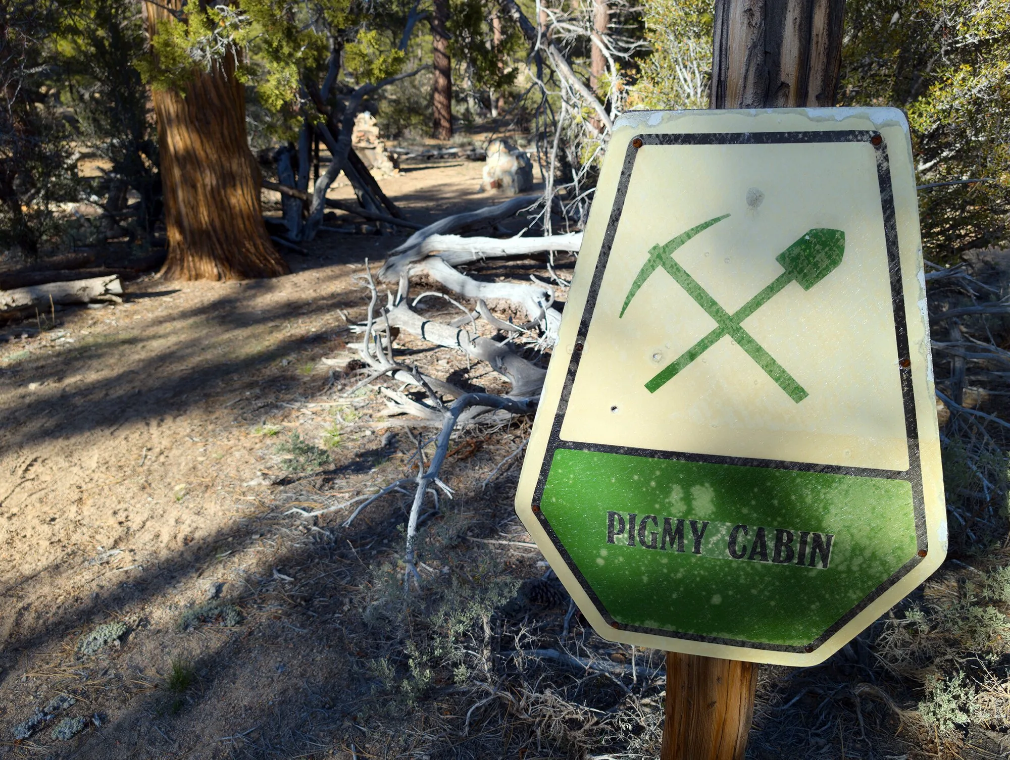 First Time Visitor Guide to Big Bear scenic Big Bear guide image